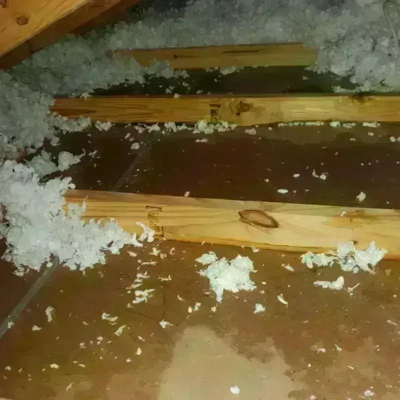 Attic Water Damage in Derby, CO