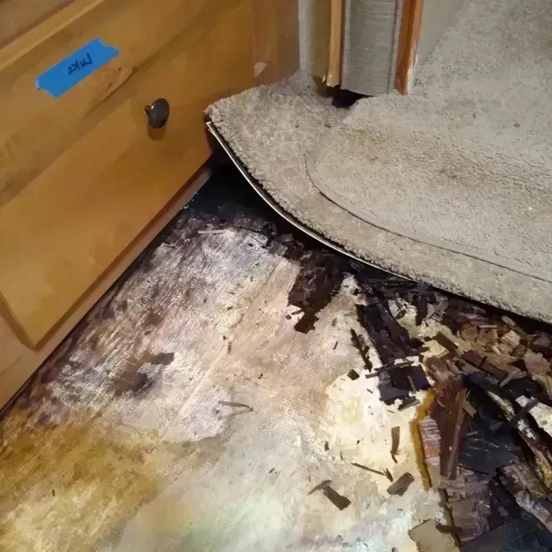 Wood Floor Water Damage in Derby, CO